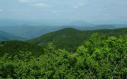 雨包山